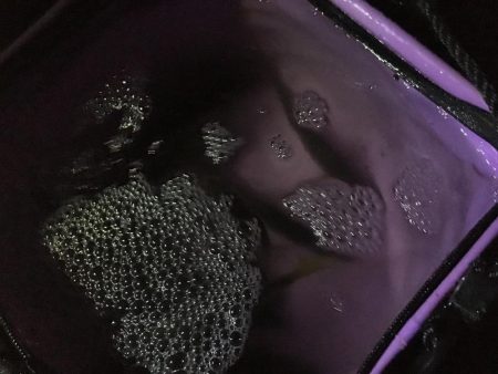 夜サビキでアジ良好